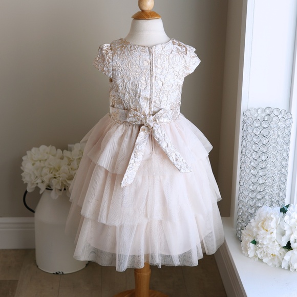Girls Gold & Blush Formal Party Dress Flower Girl Special Occasion Biscotti NWOT - Picture 3 of 5